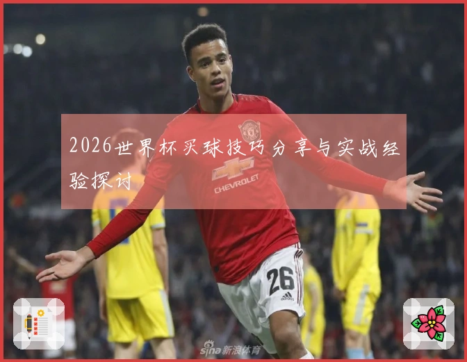 2026世界杯买球技巧分享与实战经验探讨