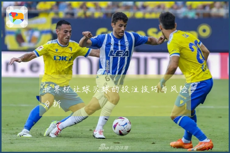 世界杯让球买球的投注技巧与风险分析