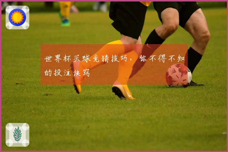 世界杯买球竞猜技巧，你不得不知的投注诀窍