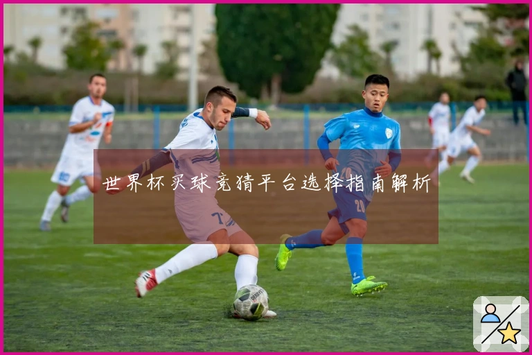 世界杯买球竞猜平台选择指南解析